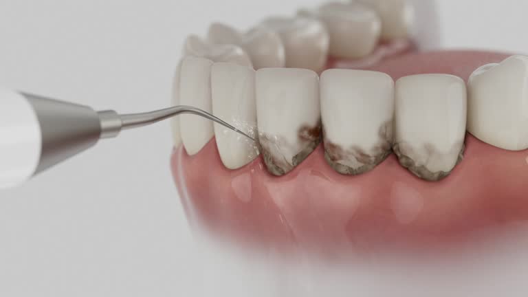 Reliable Dental contractor in Nolanville, TX by Dentist Open Now